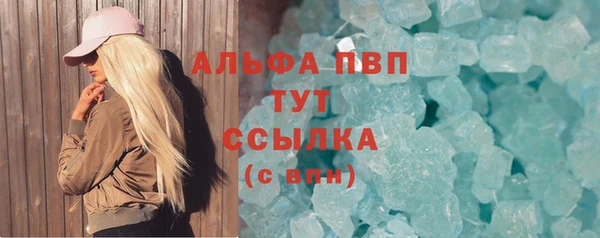 гидра Михайловка