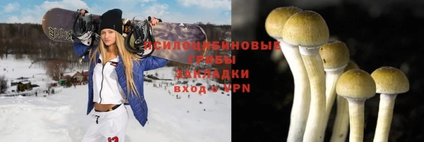 гидра Михайловка