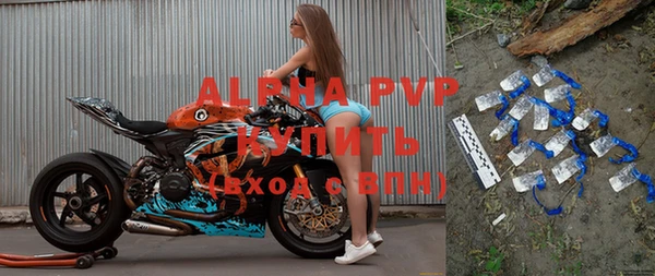 гидра Михайловка