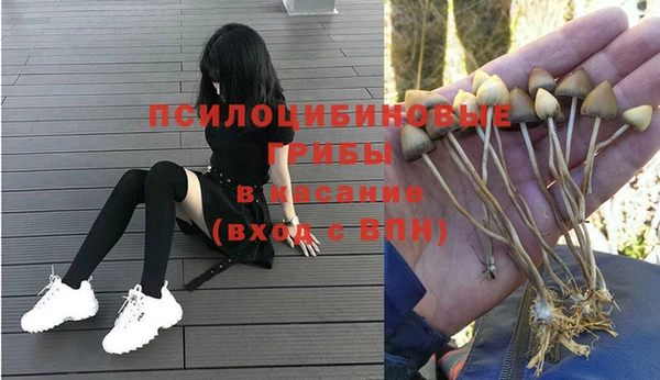 гидра Михайловка