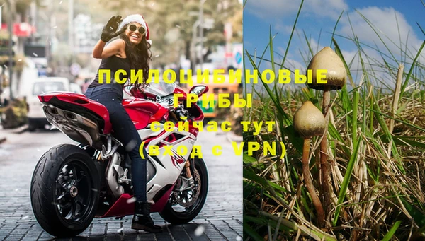 гидра Михайловка